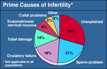 Main Causes of Infertility Image