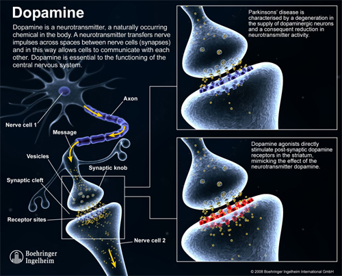 What is dopamine and it's relation with parkinson disease image