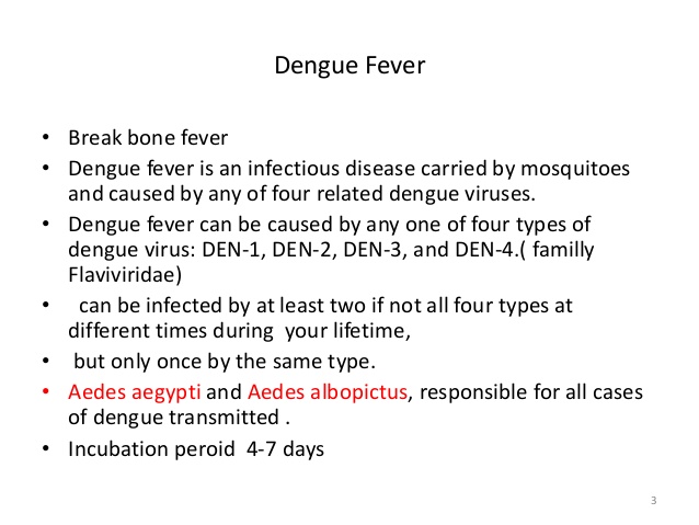 types of dengue causing mosquitos image
